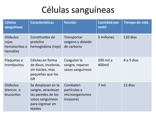 Células sanguíneas
Células       Características      función            Cantidad por   Tiempo de vida
sanguíneas                                            mmᵌ

Glóbulos      Constituidos de    Transportar          5 millones     120 días
rojos         proteína           oxigeno y dióxido
hematocitos o hemoglobina (rojo) de carbono
hematíes

Plaquetas o   Células en forma     Coagulan la        200 mil a      4 a 5 días
trombocitos   de disco, incoloras, sangre, reparan    400mil
              sin núcleo, mas      vasos sanguíneos
              pequeñas que los
              GR
Glóbulos      Se desplazan en la   Combaten           7 mil          13 dias
blancos o     sangre, atraviesan   partículas y
leucocitos    las paredes de los   microorganismos
              vasos sanguíneos     invasores
              para ingresar en
              tejidos
 
