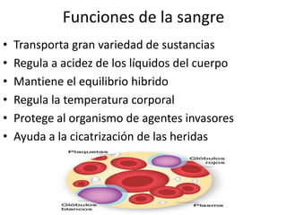 Funciones de la sangre
•   Transporta gran variedad de sustancias
•   Regula a acidez de los líquidos del cuerpo
•   Mantiene el equilibrio hibrido
•   Regula la temperatura corporal
•   Protege al organismo de agentes invasores
•   Ayuda a la cicatrización de las heridas
 