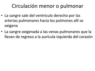 Circulación menor o pulmonar
• La sangre sale del ventrículo derecho por las
  arterias pulmonares hacia los pulmones allí se
  oxigena
• La sangre oxigenada a las venas pulmonares que la
  llevan de regreso a la aurícula izquierda del corazón
 