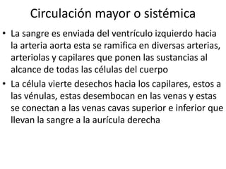 Circulación mayor o sistémica
• La sangre es enviada del ventrículo izquierdo hacia
  la arteria aorta esta se ramifica en diversas arterias,
  arteriolas y capilares que ponen las sustancias al
  alcance de todas las células del cuerpo
• La célula vierte desechos hacia los capilares, estos a
  las vénulas, estas desembocan en las venas y estas
  se conectan a las venas cavas superior e inferior que
  llevan la sangre a la aurícula derecha
 
