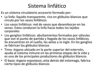Sistema linfático
Es un sistema circulatorio accesorio formado por:
• La linfa: líquido transparente, rico en glóbulos blancos que
   circula por los vasos linfáticos
• Los vasos linfáticos: red de vasos que desembocan en las
   venas. Estos conducen la linfa hacia todos los tejidos
   corporales
• Los ganglios linfáticos: abultamientos formados por válvulas
   que son el punto de partida y llegada de los vasos linfáticos.
   Se encuentran en el cuello, las axilas y la ingle. En los ganglios
   se fabrican los glóbulos blancos
• Timo: órgano ubicado en la parte superior del esternón,
   ayuda al sistema inmune en las primeras etapas de la vida y
   es uno de los principales productores de glóbulos blancos
• El bazo: órgano esponjoso ,esta detrás del estomago, fabrica
   cierto tipos de glóbulos blancos
 