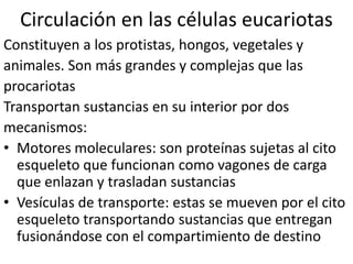 Circulación en las células eucariotas
Constituyen a los protistas, hongos, vegetales y
animales. Son más grandes y complejas que las
procariotas
Transportan sustancias en su interior por dos
mecanismos:
• Motores moleculares: son proteínas sujetas al cito
  esqueleto que funcionan como vagones de carga
  que enlazan y trasladan sustancias
• Vesículas de transporte: estas se mueven por el cito
  esqueleto transportando sustancias que entregan
  fusionándose con el compartimiento de destino
 
