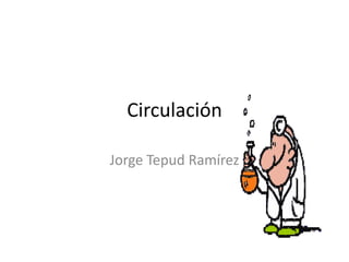Circulación

Jorge Tepud Ramírez
 