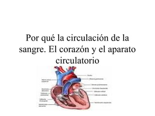 Por qué la circulación de la
sangre. El corazón y el aparato
          circulatorio
 