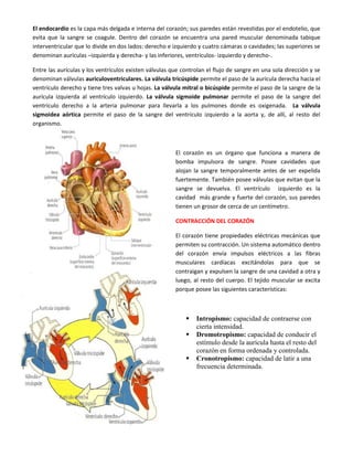 El endocardio es la capa más delgada e interna del corazón; sus paredes están revestidas por el endotelio, que
evita que la sangre se coagule. Dentro del corazón se encuentra una pared muscular denominada tabique
interventricular que lo divide en dos lados: derecho e izquierdo y cuatro cámaras o cavidades; las superiores se
denominan aurículas –izquierda y derecha- y las inferiores, ventrículos- izquierdo y derecho-.
Entre las aurículas y los ventrículos existen válvulas que controlan el flujo de sangre en una sola dirección y se
denominan válvulas auriculoventriculares. La válvula tricúspide permite el paso de la aurícula derecha hacia el
ventrículo derecho y tiene tres valvas u hojas. La válvula mitral o bicúspide permite el paso de la sangre de la
aurícula izquierda al ventrículo izquierdo. La válvula sigmoide pulmonar permite el paso de la sangre del
ventrículo derecho a la arteria pulmonar para llevarla a los pulmones donde es oxigenada. La válvula
sigmoidea aórtica permite el paso de la sangre del ventrículo izquierdo a la aorta y, de allí, al resto del
organismo.
El corazón es un órgano que funciona a manera de
bomba impulsora de sangre. Posee cavidades que
alojan la sangre temporalmente antes de ser expelida
fuertemente. También posee válvulas que evitan que la
sangre se devuelva. El ventrículo izquierdo es la
cavidad más grande y fuerte del corazón, sus paredes
tienen un grosor de cerca de un centímetro.
CONTRACCIÓN DEL CORAZÓN
El corazón tiene propiedades eléctricas mecánicas que
permiten su contracción. Un sistema automático dentro
del corazón envía impulsos eléctricos a las fibras
musculares cardíacas excitándolas para que se
contraigan y expulsen la sangre de una cavidad a otra y
luego, al resto del cuerpo. El tejido muscular se excita
porque posee las siguientes características:
 Intropismo: capacidad de contraerse con
cierta intensidad.
 Dromotropismo: capacidad de conducir el
estímulo desde la aurícula hasta el resto del
corazón en forma ordenada y controlada.
 Cronotropismo: capacidad de latir a una
frecuencia determinada.
 
