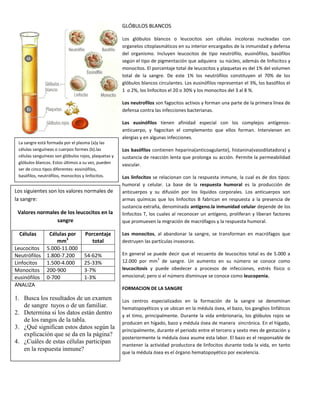 GLÓBULOS BLANCOS
Los glóbulos blancos o leucocitos son células incoloras nucleadas con
organelos citoplasmáticos en su interior encargados de la inmunidad y defensa
del organismo. Incluyen leucocitos de tipo neutrófilo, eusinófilos, basófilos
según el tipo de pigmentación que adquiera su núcleo, además de linfocitos y
monocitos. El porcentaje total de leucocitos y plaquetas es del 1% del volumen
total de la sangre. De este 1% los neutrófilos constituyen el 70% de los
glóbulos blancos circulantes. Los eusinófilos representan el 3%, los basófilos el
1 o 2%, los linfocitos el 20 o 30% y los monocitos del 3 al 8 %.
Los neutrofilos son fagocitos activos y forman una parte de la primera línea de
defensa contra las infecciones bacterianas.
Los eusinófilos tienen afinidad especial con los complejos antígenos-
anticuerpo, y fagocitan el complemento que ellos forman. Intervienen en
alergias y en algunas infecciones.
Los basófilos contienen heparina(anticoagulante), histanina(vasodilatadora) y
sustancia de reacción lenta que prolonga su acción. Permite la permeabilidad
vascular.
Los linfocitos se relacionan con la respuesta inmune, la cual es de dos tipos:
humoral y celular. La base de la respuesta humoral es la producción de
anticuerpos y su difusión por los líquidos corporales. Los anticuerpos son
armas químicas que los linfocitos B fabrican en respuesta a la presencia de
sustancia extraña, denominada antígeno.la inmunidad celular depende de los
linfocitos T, los cuales al reconocer un antígeno, proliferan y liberan factores
que promueven la migración de macrófagos y la respuesta humoral.
Los monocitos, al abandonar la sangre, se transforman en macrófagos que
destruyen las partículas invasoras.
En general se puede decir que el recuento de leucocitos total es de 5.000 a
12.000 por mm
3
de sangre. Un aumento en su número se conoce como
leucocitosis y puede obedecer a procesos de infecciones, estrés físico o
emocional; pero si el número disminuye se conoce como leucopenia.
FORMACION DE LA SANGRE
Los centros especializados en la formación de la sangre se denominan
hematopoyéticos y se ubican en la médula ósea, el bazo, los ganglios linfáticos
y el timo, principalmente. Durante la vida embrionaria, los glóbulos rojos se
producen en hígado, bazo y médula ósea de manera sincrónica. En el hígado,
principalmente, durante el periodo entre el tercero y sexto mes de gestación y
posteriormente la médula ósea asume esta labor. El bazo es el responsable de
mantener la actividad productora de linfocitos durante toda la vida, en tanto
que la médula ósea es el órgano hematopoyético por excelencia.
La sangre está formada por el plasma (a)y las
células sanguíneas o cuerpos formes (b).las
células sanguíneas son glóbulos rojos, plaquetas y
glóbulos blancos. Estos últimos a su vez, pueden
ser de cinco tipos diferentes: eosinófilos,
basófilos, neutrófilos, monocitos y linfocitos.
Los siguientes son los valores normales de
la sangre:
Valores normales de los leucocitos en la
sangre
Células Células por
mm3
Porcentaje
total
Leucocitos 5.000-11.000
Neutrófilos 1.800-7.200 54-62%
Linfocitos 1.500-4.000 25-33%
Monocitos 200-900 3-7%
eusinófilos 0-700 1-3%
ANALIZA
1. Busca los resultados de un examen
de sangre tuyos o de un familiar.
2. Determina si los datos están dentro
de los rangos de la tabla.
3. ¿Qué significan estos datos según la
explicación que se da en la página?
4. ¿Cuáles de estas células participan
en la respuesta inmune?
 