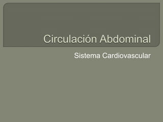 Circulación Abdominal,[object Object],Sistema Cardiovascular ,[object Object]
