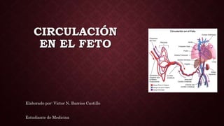CIRCULACIÓN 
EN EL FETO 
Elaborado por: Víctor N. Barrios Castillo 
Estudiante de Medicina 
 