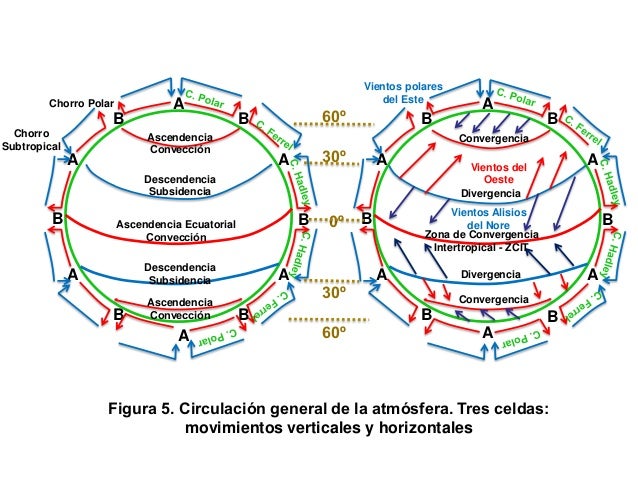 Circulacion global del oceano