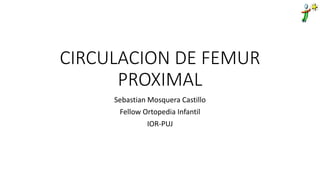 CIRCULACION DE FEMUR
PROXIMAL
Sebastian Mosquera Castillo
Fellow Ortopedia Infantil
IOR-PUJ
 
