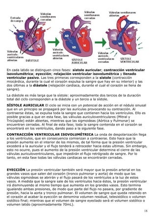 En cada latido se distinguen cinco fases: sístole auricular; contracción ventricular
isovolumétrica; eyección; relajación ventricular isovolumétrica y llenado
ventricular pasivo. Las tres primeras corresponden a la sístole (contracción
miocárdica, durante la cual el corazón expulsa la sangre que hay en su interior) y las
dos últimas a la diástole (relajación cardiaca, durante el cual el corazón se llena de
sangre).
La diástole es más larga que la sístole: aproximadamente dos tercios de la duración
total del ciclo corresponden a la diástole y un tercio a la sístole.
SÍSTOLE AURICULAR El ciclo se inicia con un potencial de acción en el nódulo sinusal
que en un principio se propagará por las aurículas provocando su contracción. Al
contraerse éstas, se expulsa toda la sangre que contienen hacia los ventrículos. Ello es
posible gracias a que en esta fase, las válvulas auriculoventriculares (Mitral y
Tricúspide) están abiertas, mientras que las sigmoideas (Aórtica y Pulmonar) se
encuentran cerradas. Al final de esta fase; toda la sangre contenida en el corazón se
encontrará en los ventrículos, dando paso a la siguiente fase.
CONTRACCIÓN VENTRICULAR ISOVOLUMÉTRICA La onda de despolarización llega
a los ventrículos, que en consecuencia comienzan a contraerse. Esto hace que la
presión aumente en el interior de los mismos, de tal forma que la presión ventricular
excederá a la auricular y el flujo tenderá a retroceder hacia estas ultimas. Sin embargo,
esto no ocurre, pues el aumento de la presión ventricular determina el cierre de las
válvulas auriculoventriculares, que impedirán el flujo retrógrado de sangre. Por lo
tanto, en esta fase todas las válvulas cardiacas se encontrarán cerradas.


EYECCIÓN La presión ventricular también será mayor que la presión arterial en los
grandes vasos que salen del corazón (tronco pulmonar y aorta) de modo que las
válvulas sigmoideas se abrirán y el flujo pasará de los ventrículos a la luz de estos
vasos. A medida que la sangre sale de los ventrículos hacia éstos, la presión ventricular
irá disminuyendo al mismo tiempo que aumenta en los grandes vasos. Esto termina
igualando ambas presiones, de modo que parte del flujo no pasara, por gradiente de
presión, hacia la aorta y tronco pulmonar. El volumen de sangre que queda retenido en
el corazón al acabar la eyección se denomina volumen residual, telesistólico o volumen
sistólico final; mientras que el volumen de sangre eyectado será el volumen sistólico o
volumen latido (aproximadamente 70mL).

                                                                                       18
 
