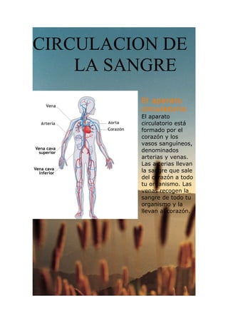 CIRCULACION DE
LA SANGRE
El aparato
circulatorio
El aparato
circulatorio está
formado por el
corazón y los
vasos sanguíneos,
denominados
arterias y venas.
Las arterias llevan
la sangre que sale
del corazón a todo
tu organismo. Las
venas recogen la
sangre de todo tu
organismo y la
llevan al corazón.
 