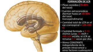 circulacion de lcr.pptx