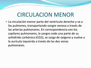 CIRCULACION MENOR
 La circulación menor parte del ventrículo derecho y va a

los pulmones, transportando sangre venosa a través de
las arterias pulmonares. En correspondencia con los
capilares pulmonares, la sangre cede una parte de su
anhídrido carbónico (CO2), se carga de oxígeno y vuelve a
la aurícula izquierda a través de las dos venas
pulmonares.

 