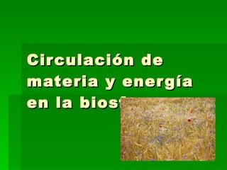 Circulación de materia y energía en la biosfera 