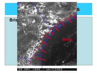Circulaciones Locales Brisa de Mar: Brisa 