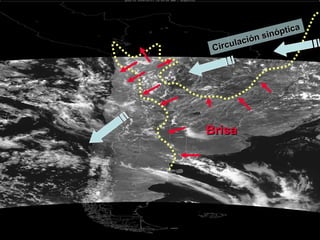 Circulaciones Locales Brisa de Mar: Brisa Circulación sinóptica 