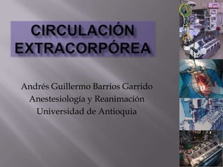 Andrés Guillermo Barrios Garrido
 Anestesiología y Reanimación
   Universidad de Antioquia
 