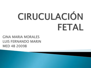 CIRUCULACIÓN FETAL GINA MARIA MORALES LUIS FERNANDO MARIN MED 4B 2009B 