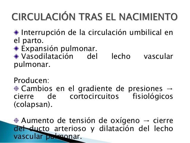 El nombre de los ungüentos para el aumento del miembro
