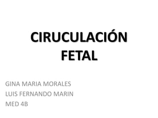 CIRUCULACIÓN
          FETAL
GINA MARIA MORALES
LUIS FERNANDO MARIN
MED 4B
 