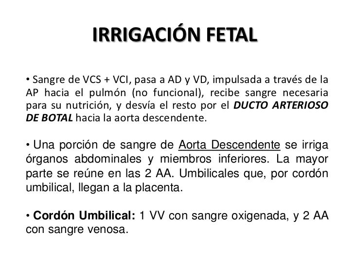 Un más pequeño miembro a los adultos