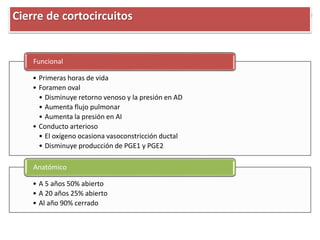 • Primeras horas de vida
• Foramen oval
• Disminuye retorno venoso y la presión en AD
• Aumenta flujo pulmonar
• Aumenta la presión en AI
• Conducto arterioso
• El oxígeno ocasiona vasoconstricción ductal
• Disminuye producción de PGE1 y PGE2
Funcional
• A 5 años 50% abierto
• A 20 años 25% abierto
• Al año 90% cerrado
Anatómico
Cierre de cortocircuitos
 