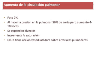 • Feto 7%
• Al nacer la presión en la pulmonar 50% de aorta pero aumento 4-
10 veces
• Se expanden alveolos
• Incrementa la saturación
• El O2 tiene acción vasodilatadora sobre arteriolas pulmonares
Aumento de la circulación pulmonar
 