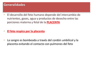 • El desarrollo del feto humano depende del intercambio de
nutrientes, gases, agua y productos de desecho entre las
porciones materna y fetal de la PLACENTA
• El feto respira por la placenta
• La sangre es bombeada a través del cordón umbilical y la
placenta evitando el contacto con pulmones del feto
Generalidades
 