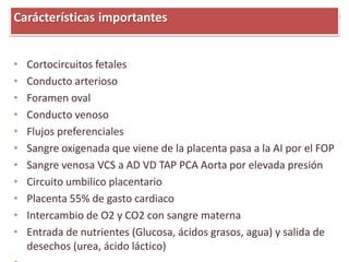 • Cortocircuitos fetales
• Conducto arterioso
• Foramen oval
• Conducto venoso
• Flujos preferenciales
• Sangre oxigenada que viene de la placenta pasa a la AI por el FOP
• Sangre venosa VCS a AD VD TAP PCA Aorta por elevada presión
• Circuito umbilico placentario
• Placenta 55% de gasto cardiaco
• Intercambio de O2 y CO2 con sangre materna
• Entrada de nutrientes (Glucosa, ácidos grasos, agua) y salida de
desechos (urea, ácido láctico)
Carácterísticas importantes
 