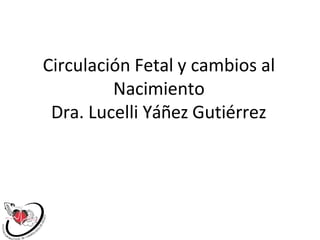 Circulación Fetal y cambios al
Nacimiento
Dra. Lucelli Yáñez Gutiérrez
 