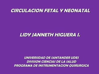 CIRCULACION FETAL Y NEONATALCIRCULACION FETAL Y NEONATAL
LIDY JANNETH HIGUERA I.LIDY JANNETH HIGUERA I.
UNIVERSIDAD DE SANTANDER UDESUNIVERSIDAD DE SANTANDER UDES
DIVISION CIENCIAS DE LA SALUDDIVISION CIENCIAS DE LA SALUD
PROGRAMA DE INSTRUMENTACION QUIRURGICAPROGRAMA DE INSTRUMENTACION QUIRURGICA
 