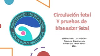 Sandra Milena Diaz Mercado
Residente de primer año
Universidad Simón Bolívar
2023
 