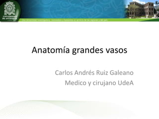 Anatomía grandes vasos
Carlos Andrés Ruiz Galeano
Medico y cirujano UdeA
 