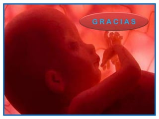 GRACIAS
 