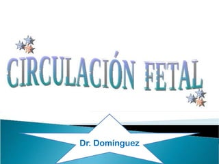 Dr. Domínguez
 