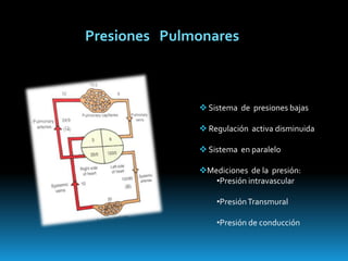 Gravedad   vs  resistencia  