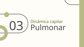 03
Dinámica capilar
Pulmonar
 
