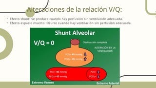 Alteraciones de la relación V/Q:
• Efecto shunt: Se produce cuando hay perfusión sin ventilación adecuada.
• Efecto espacio muerto: Ocurre cuando hay ventilación sin perfusión adecuada.
 