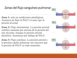 Zonas del flujo sanguíneo pulmonar
Zona 1: solo en condiciones patológicas.
Ausencia de flujo la PALV es amor que la
presión alveolar
Zona 2: Flujo intermitente. La presión arterial
sistólica aumenta por encima de la presión del
aire alveolar. Aunque la presión arterial
diastólica disminuye por debajo de PALV.
Zona 3: Flujo continuo. La presión arterial y
la presión capilar pulmonar son mayores que
la presión de PALV en todo momento.
 
