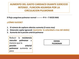AUMENTO DEL GASTO CARDIACO DUANTE EJERCICIO
INTENSO , FUNCION ASUMIDA POR LA
CIRCULACION PULMONAR
El flujo sanguíneo pulmonar normal ---------- 4 – 7 VECES MAS
¿CÓMO SUCEDE?
1. El número de capilares abiertos aumenta (3 veces mas)
2. Distensión capilar (general) [aumenta la velocidad a mas del doble]
3. Aumento de la presión arterial pulmonar
Reducir la resistencia
vascular pulmonar a
manera que la
presión arterial
pulmonar aumenta un
poco
EDEMA
PULMONAR
 