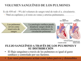 VOLUMEN SANGUÍNEO DE LOS PULMONES
Es de 450 ml – 9% del volumen de sangre total de todo el a. circulatorio.
◦ 70ml en capilares y el resto en venas y arterias pulmonares.
Los pulmones
sirven como
reservorio de
sangre
La patología cardíaca puede
desplazar sangre desde la
circulación sistémica a la
circulación pulmonar
FLUJO SANGUÍNEO A TRAVÉS DE LOS PULMONES Y
SU DISTRIBUCIÓN
• El flujo sanguíneo a través de los pulmones es igual al gasto
cardiaco y controlado por sus factores.
• Los vasos pulmonares actúan como tubos pasivos y distensibles
 