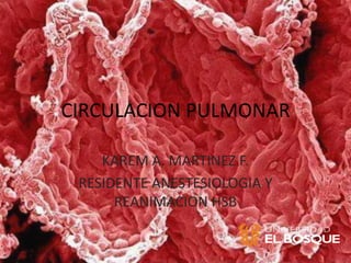 CIRCULACION PULMONAR

    KAREM A. MARTINEZ F.
 RESIDENTE ANESTESIOLOGIA Y
      REANIMACION HSB
 
