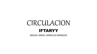 CIRCULACION
IFTARYY
MIGUEL ANGEL CARRILLLO MARQUEZ
 