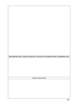 DESCRIPTIF DES UTILISATIONS DU SYSTEME D’INFORMATION COMMERCIALE




                        AUTO EVALUATION




                                                             2/2
 