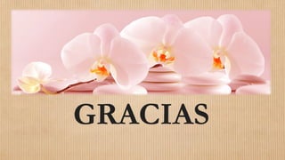 Circulante e instrumentista