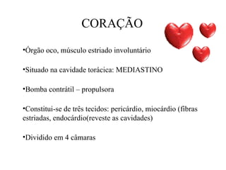 CORAÇÃO
•Órgão oco, músculo estriado involuntário

•Situado na cavidade torácica: MEDIASTINO

•Bomba contrátil – propulsora

•Constitui-se de três tecidos: pericárdio, miocárdio (fibras
estriadas, endocárdio(reveste as cavidades)

•Dividido em 4 câmaras
 