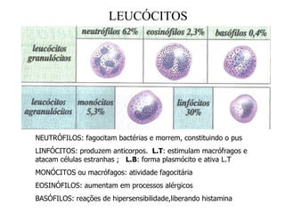 LEUCÓCITOS




NEUTRÓFILOS: fagocitam bactérias e morrem, constituindo o pus
LINFÓCITOS: produzem anticorpos. L.T: estimulam macrófragos e
atacam células estranhas ; L.B: forma plasmócito e ativa L.T
MONÓCITOS ou macrófagos: atividade fagocitária
EOSINÓFILOS: aumentam em processos alérgicos
BASÓFILOS: reações de hipersensibilidade,liberando histamina
 