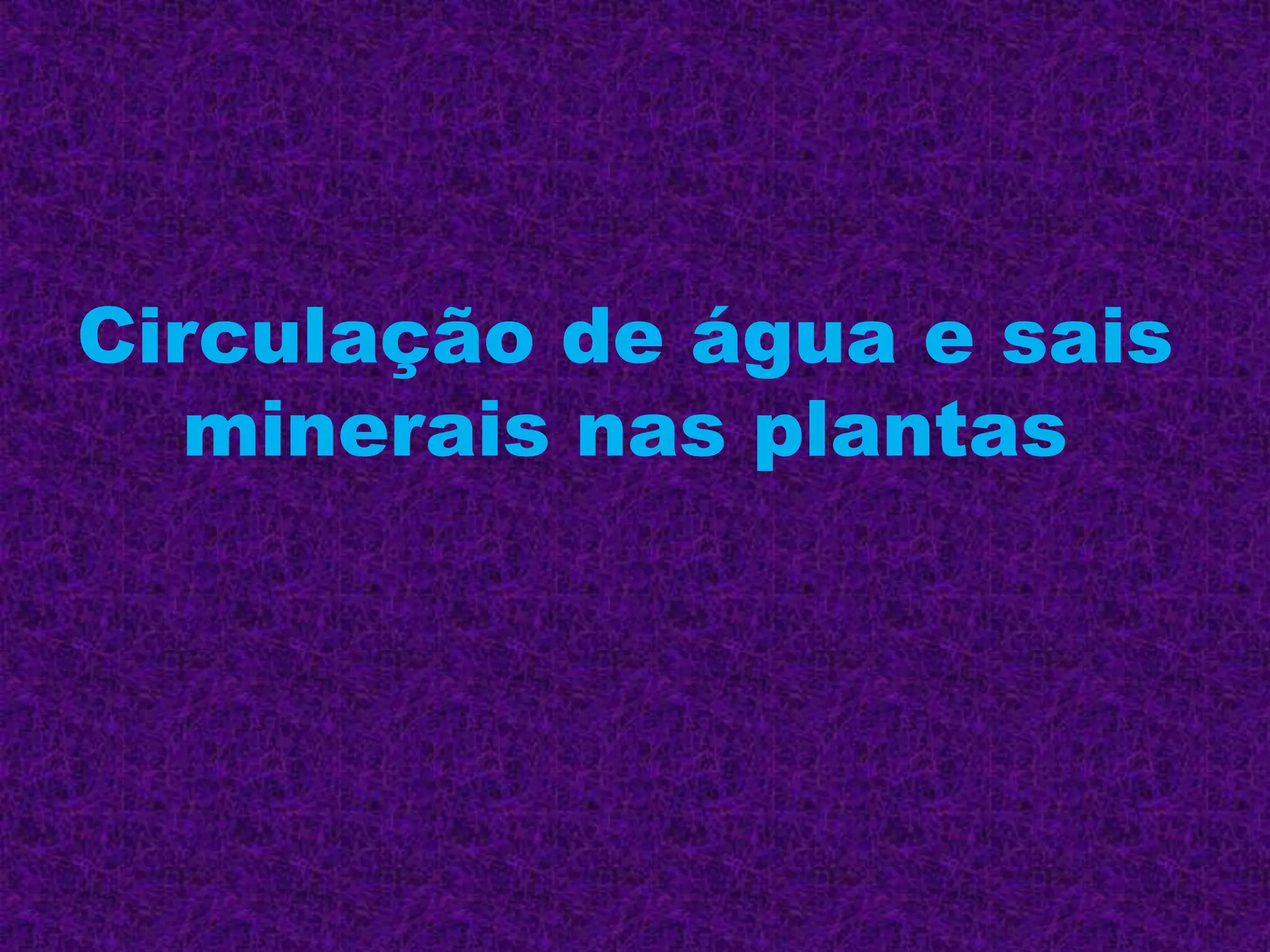 Circulação de água e sais
minerais nas plantas