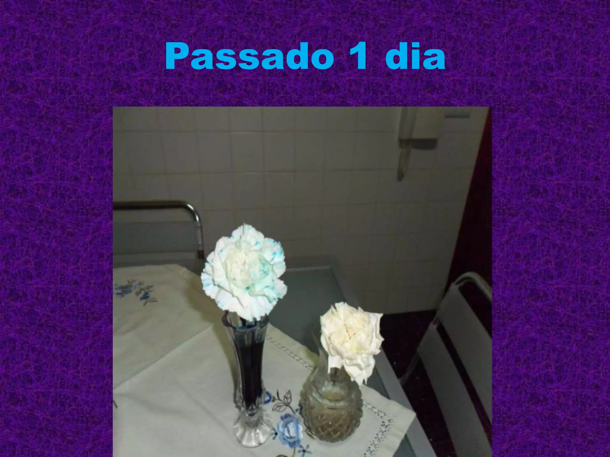Passado 1 dia